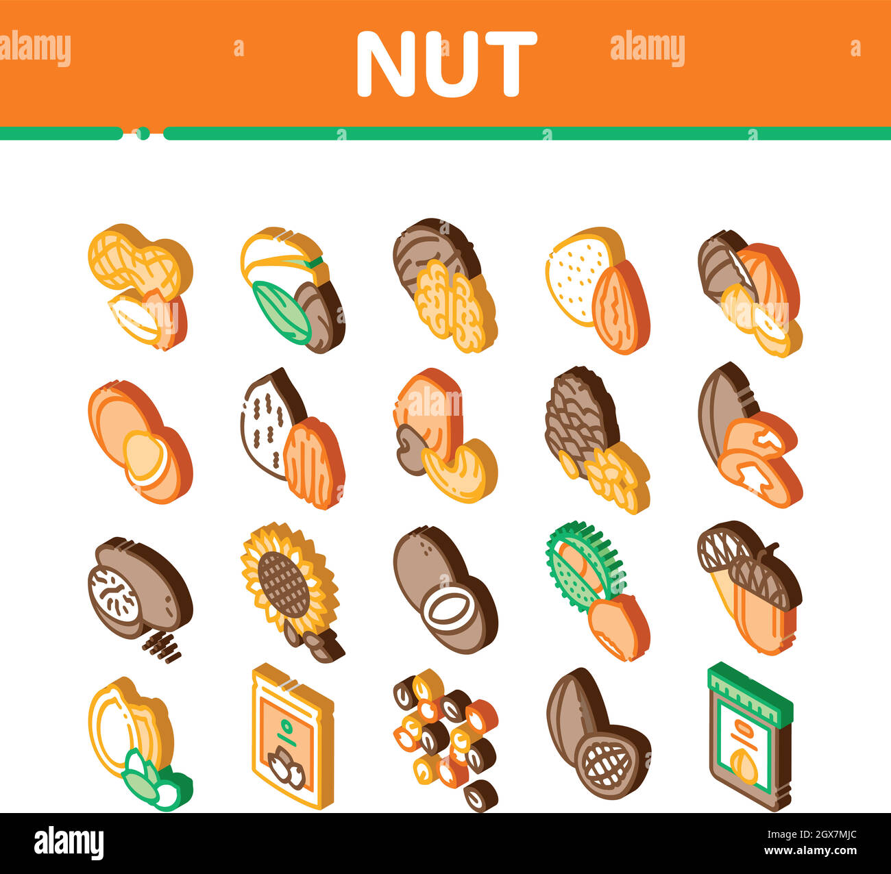 Nut Food icone isometriche diverse Imposta vettore Illustrazione Vettoriale