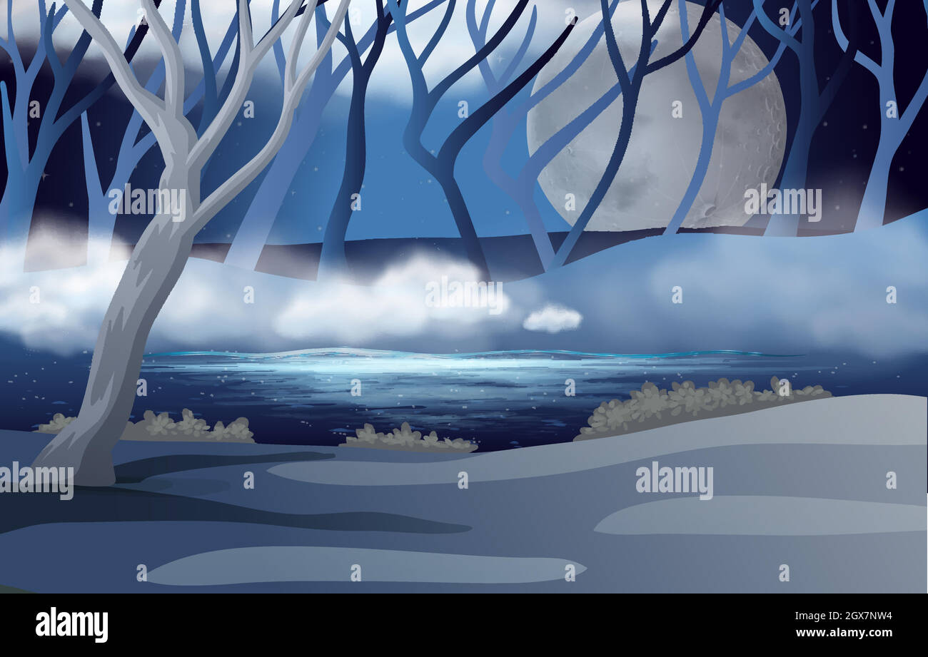Scena forestale con luna piena e nebbia Illustrazione Vettoriale