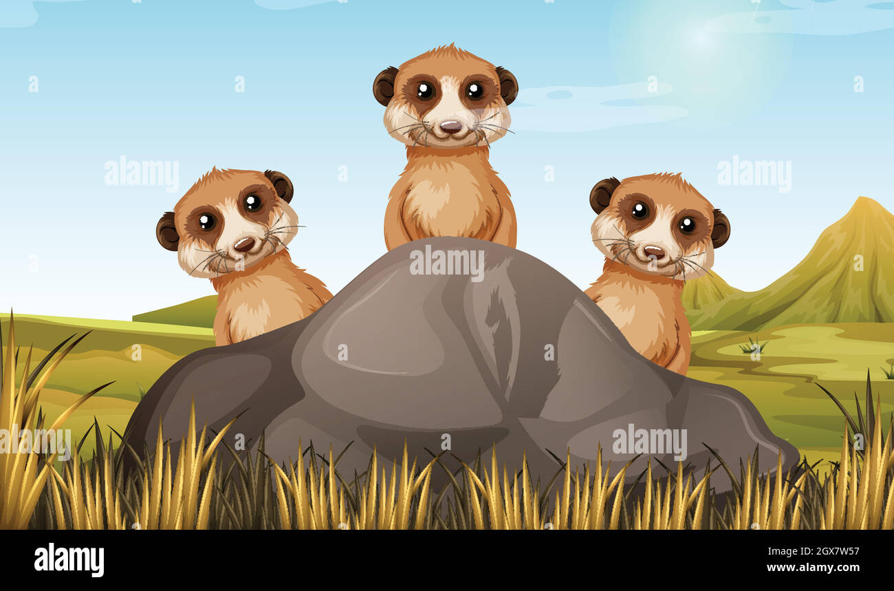 Tre meerkat dietro la pietra Illustrazione Vettoriale