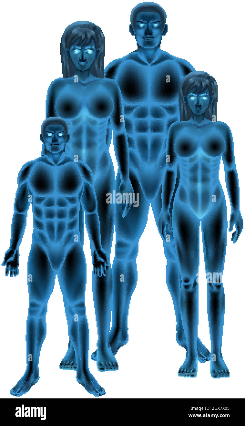 Gruppo di anatomia vuota del corpo umano Illustrazione Vettoriale