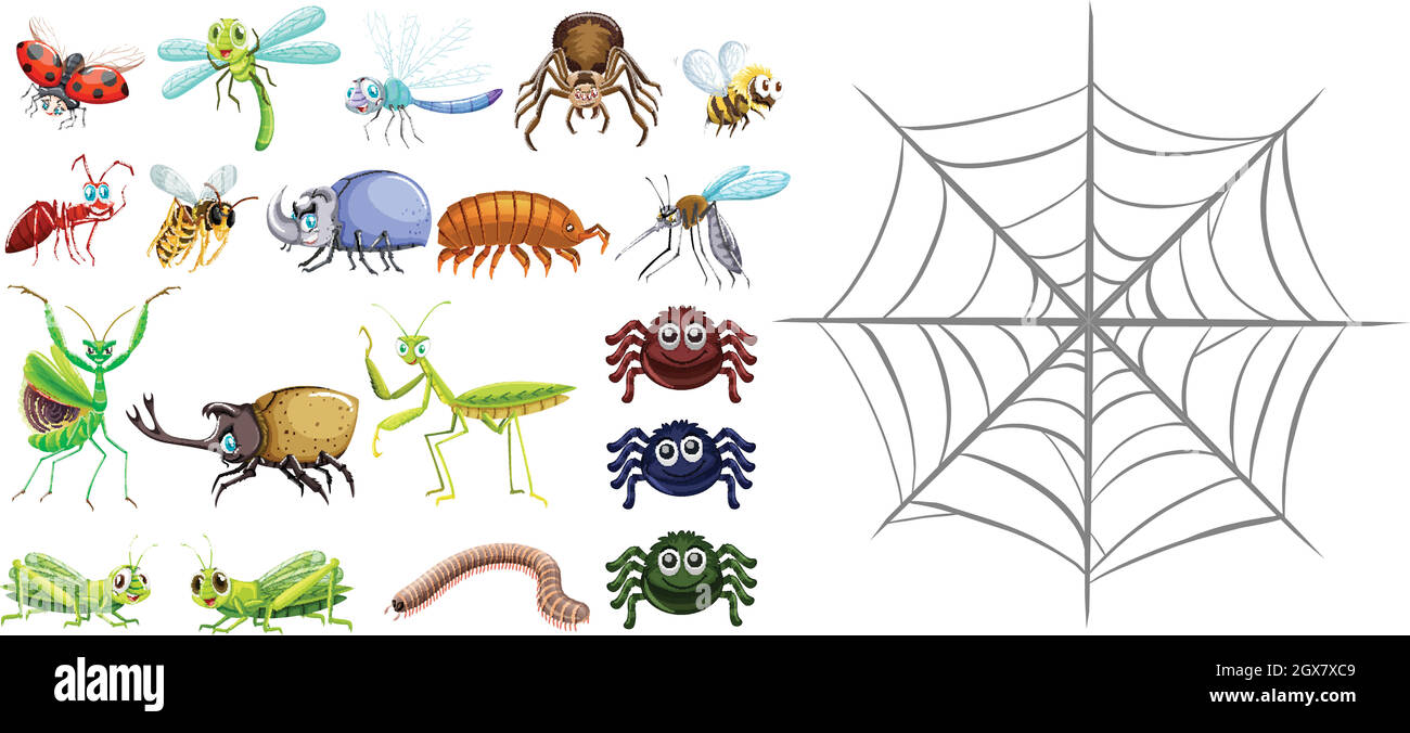 Diversi tipi di bug e spiderweb Illustrazione Vettoriale