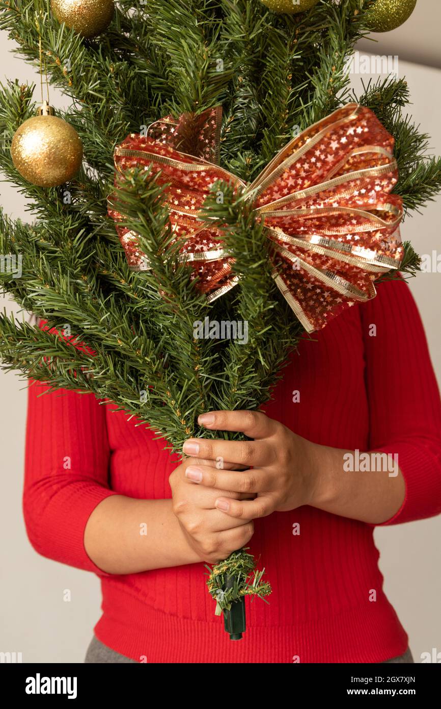 persona che tiene un ramo di un pino artificiale decorato con lampadine e un nastro con arco, decorazione di natale, data speciale Foto Stock