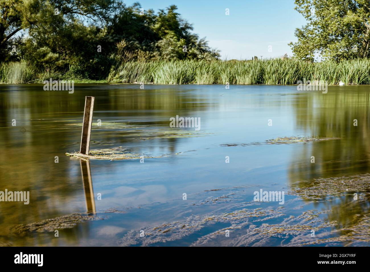 Acqua calma su un lago in una tranquilla campagna Foto Stock