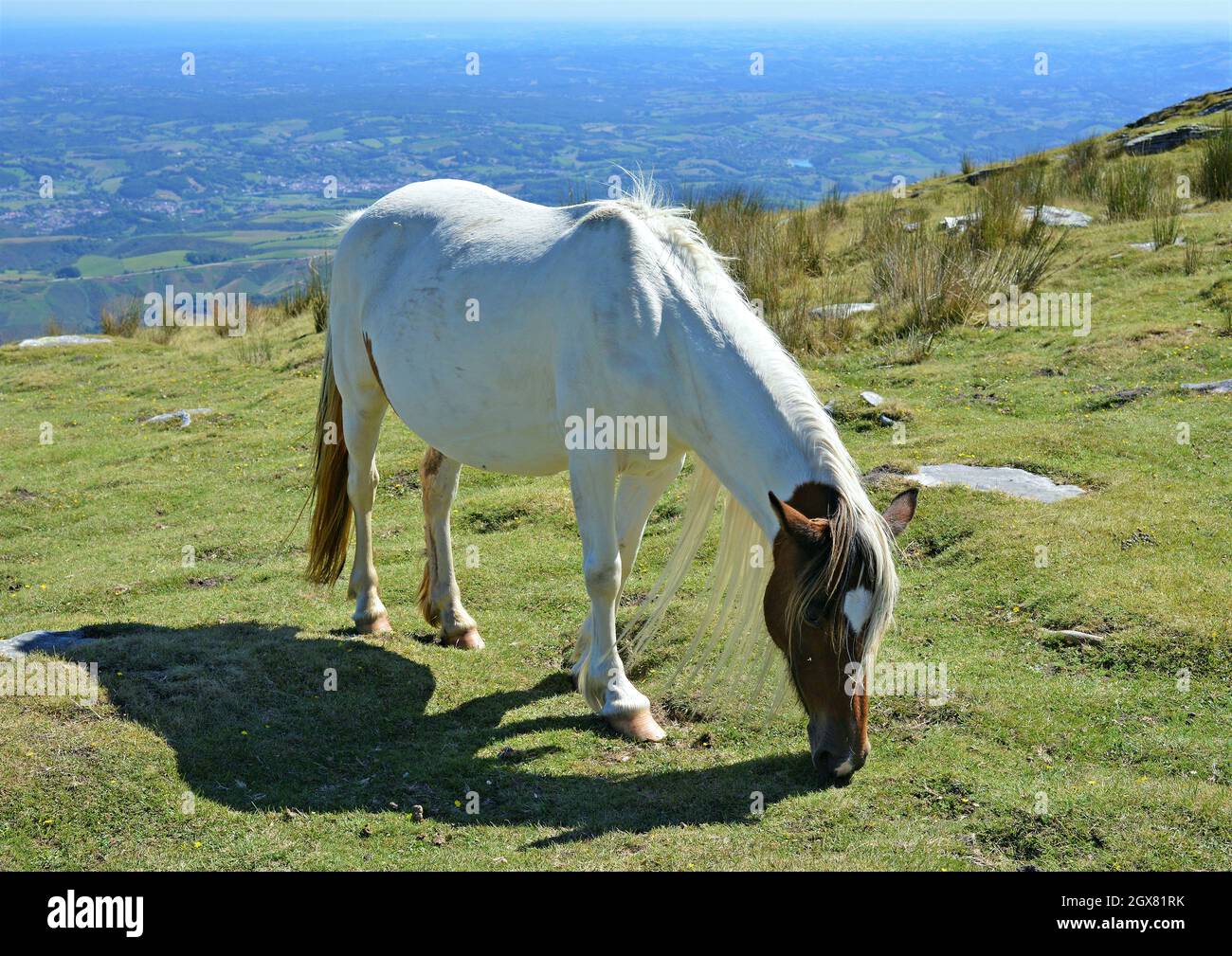 Il picco Larrún situato nei Pirenei occidentali, al confine tra Spagna e Francia. Foto Stock