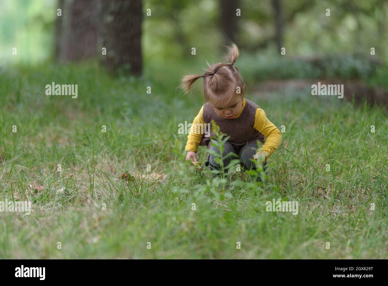 Bambina 18 mesi in una foresta Foto Stock