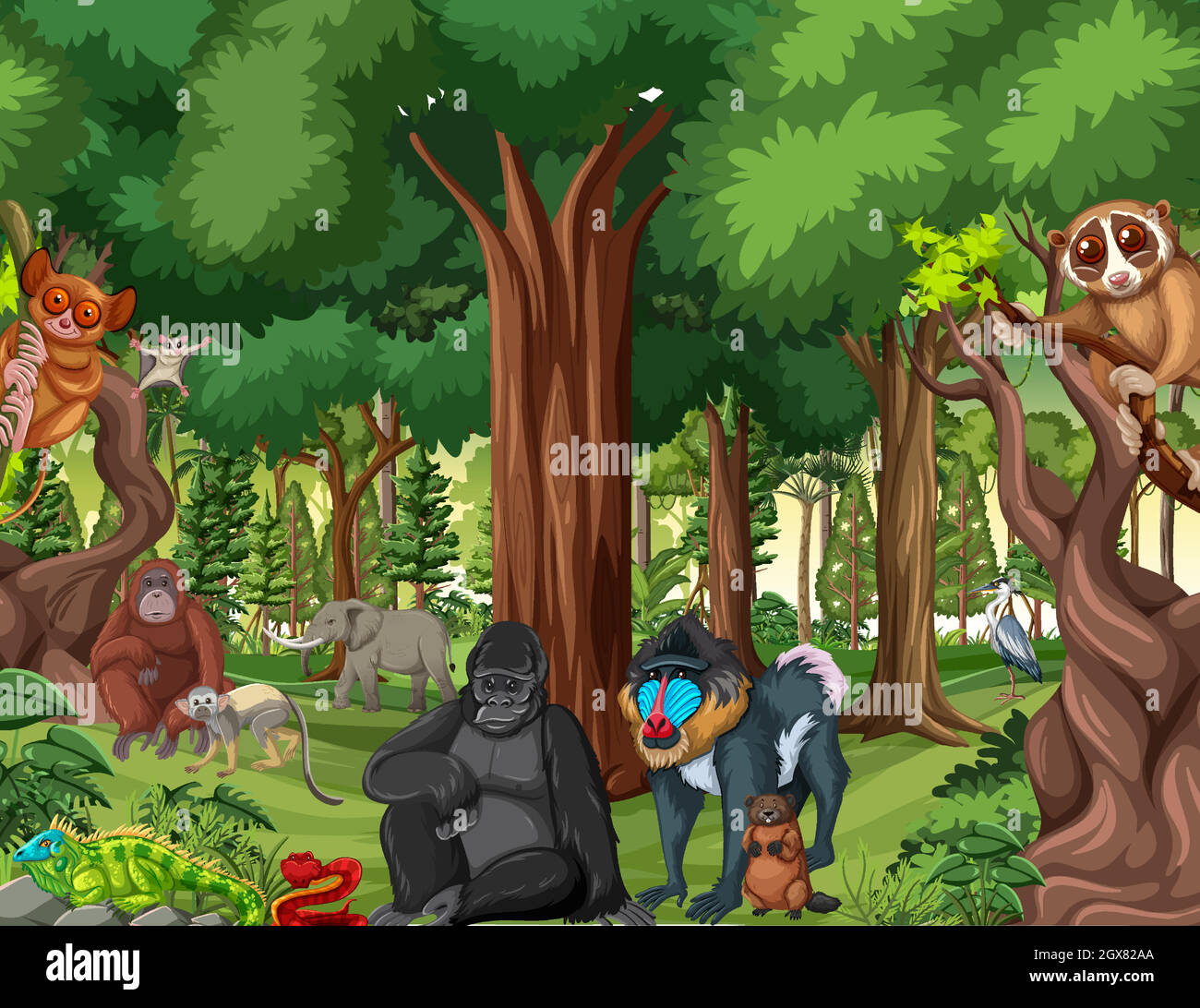 Scena della foresta pluviale con animali selvatici Illustrazione Vettoriale