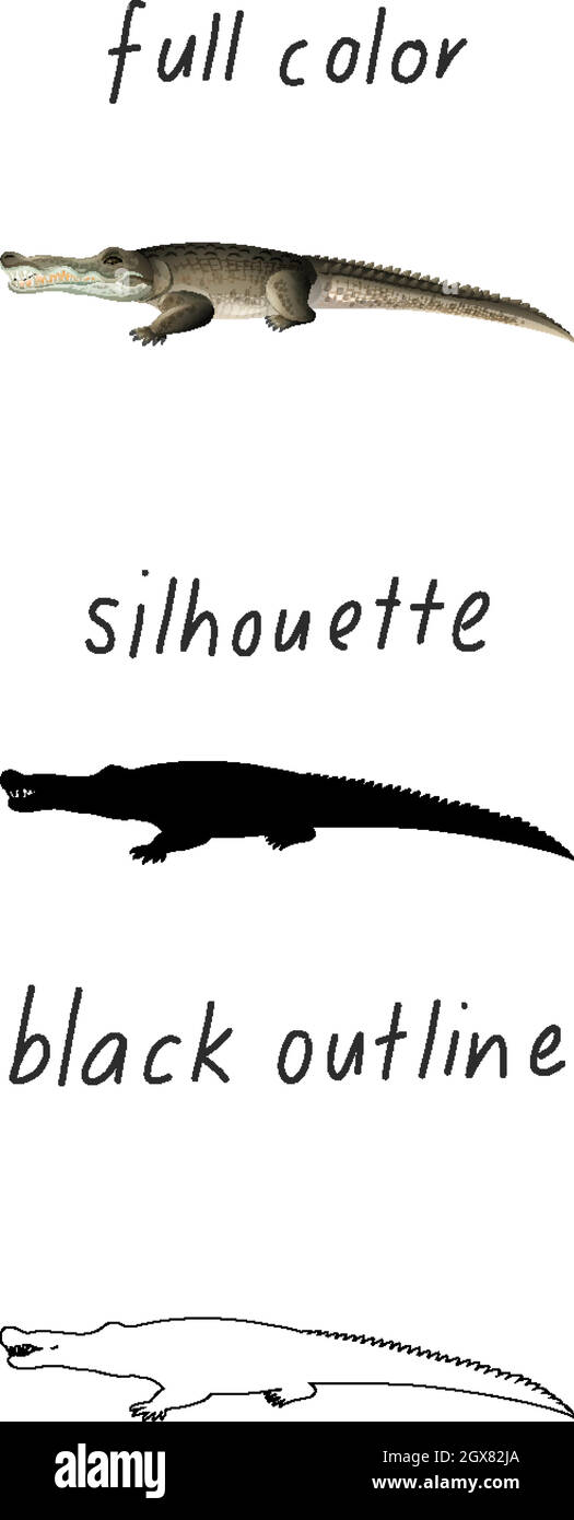 Set di alligatori di colore, silhouette e contorno nero su sfondo bianco Illustrazione Vettoriale