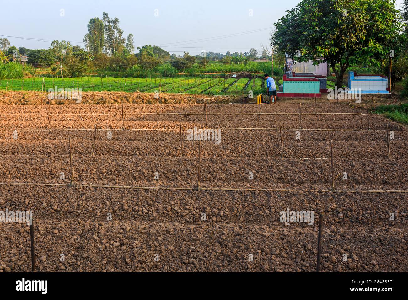 Campo appena arato per piantare colture in Chau Doc. Foto Stock