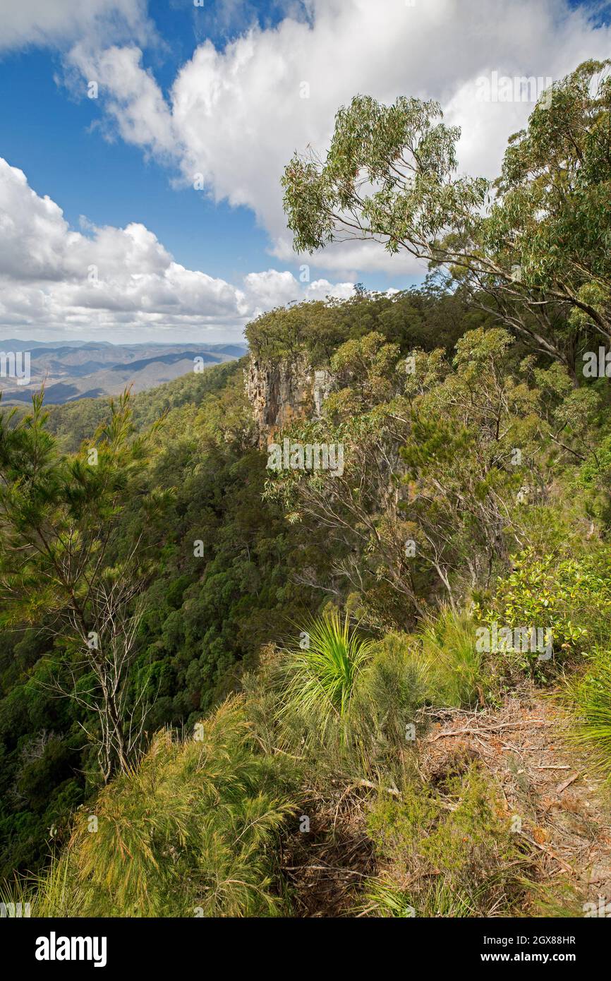 Vista spettacolare del paesaggio boscoso e delle scogliere dal belvedere al Kroombit Tops National Park nella Great Dividing Range Australia Foto Stock