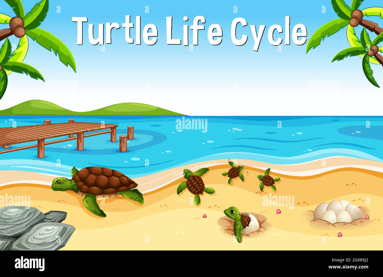 Molte tartarughe sulla spiaggia con Turtle Life Cycle Font Illustrazione Vettoriale
