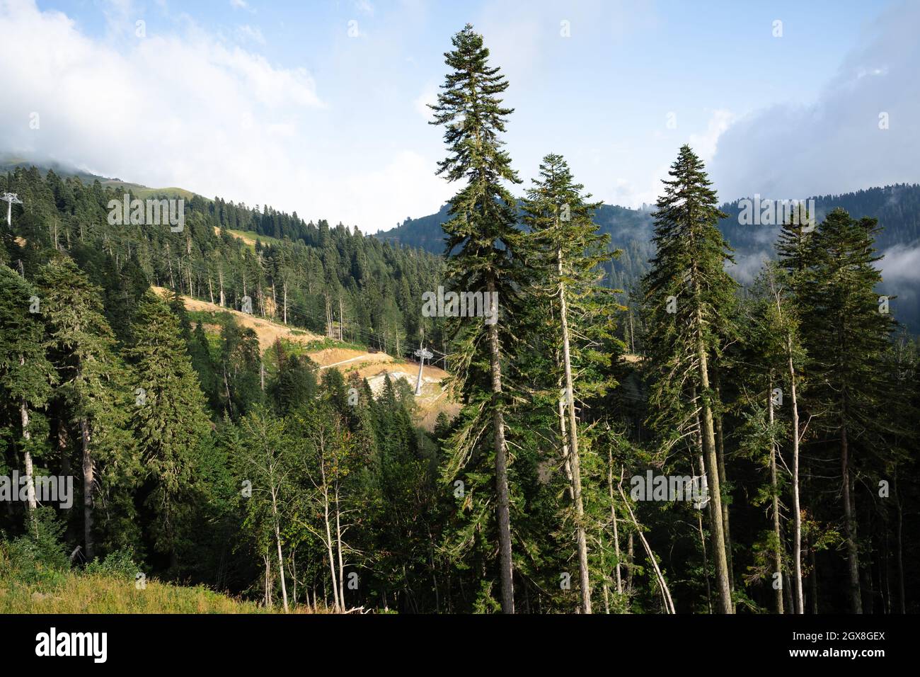 Piste sciistiche vuote in estate sulla stazione sciistica Foto Stock