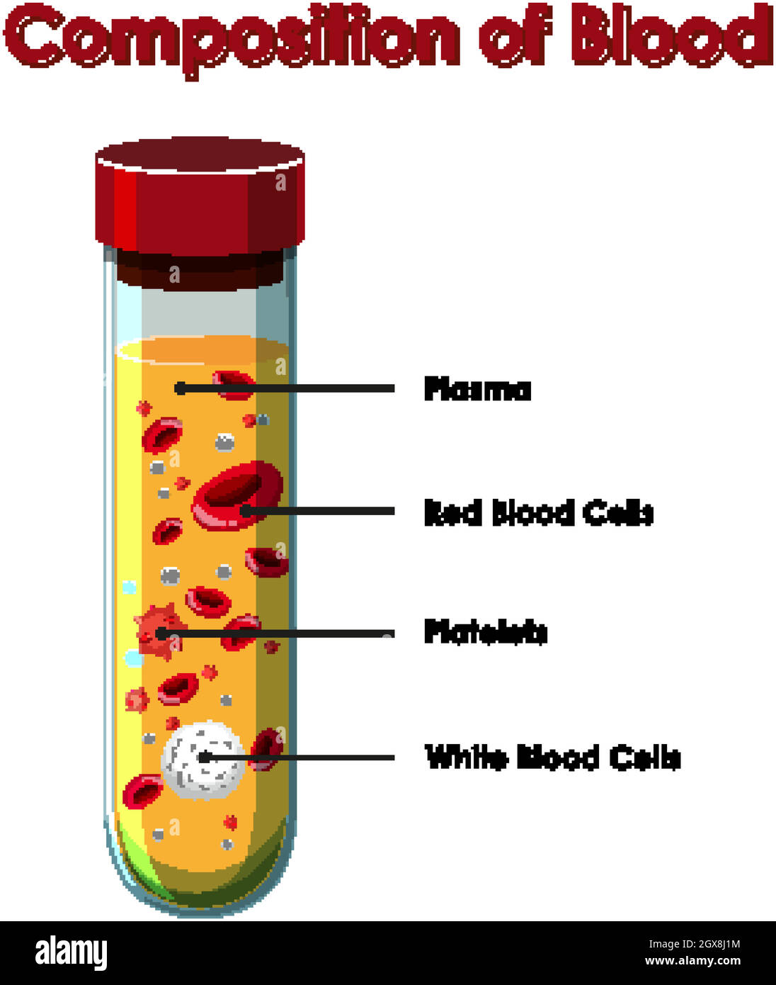 Diagramma che mostra la composizione del sangue Illustrazione Vettoriale