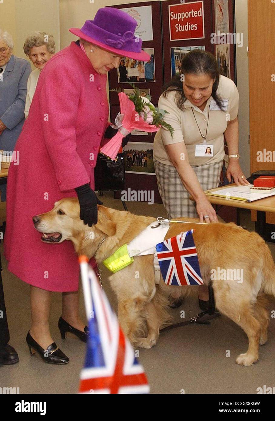 La regina incontra Lenny il cane guida e il proprietario Jenny Revell al North Hertfordshire College di Stevenage, dove la regina ha fatto un giro in un nuovo cyber cafe durante una giornata di visite all'Hertfordshire. Lunghezza intera, royals, cane, union jack, cappello, Fiori, guanti Â Anwar Hussein/allaction.co.uk Foto Stock