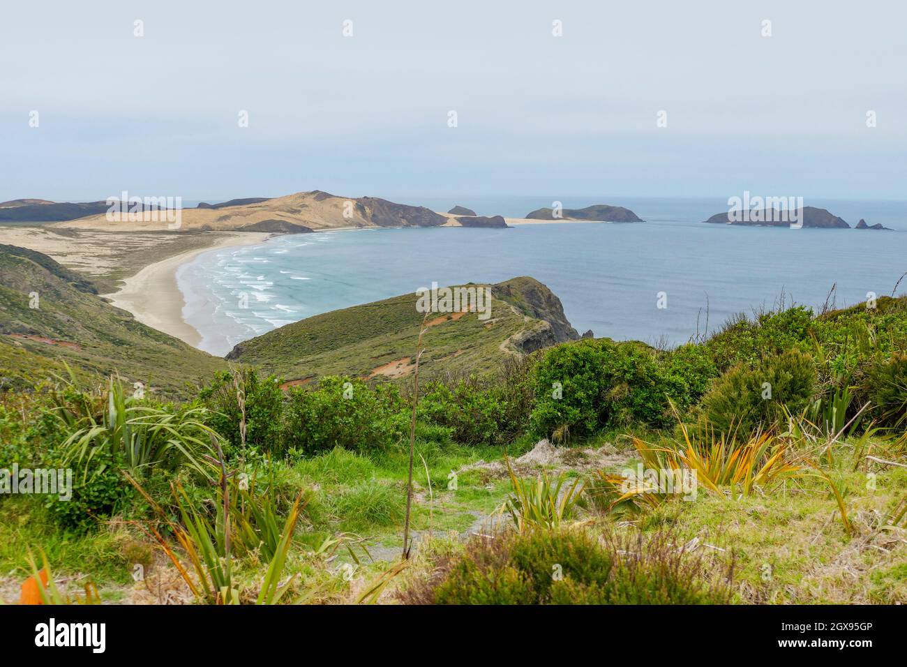 Paesaggio costiero intorno a Capo Reinga all'Isola del Nord in Nuova Zelanda Foto Stock