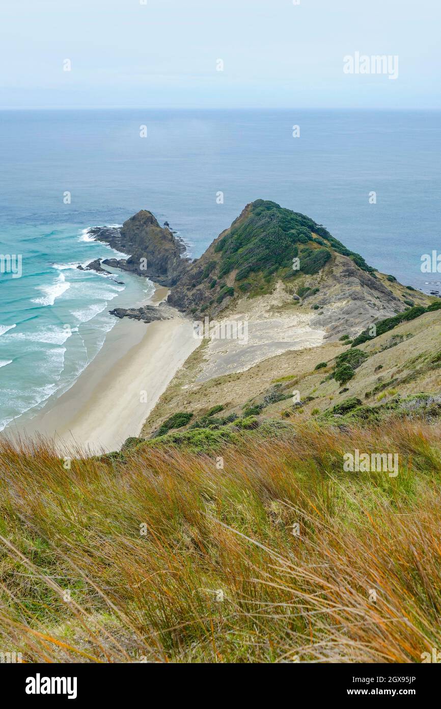 Paesaggio costiero con formazione rocciosa intorno a Capo Reinga al Isola del Nord in Nuova Zelanda Foto Stock