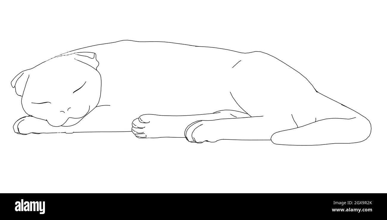 Contorno di un gatto addormentato da linee nere isolate su sfondo bianco. Illustrazione vettoriale. Illustrazione Vettoriale