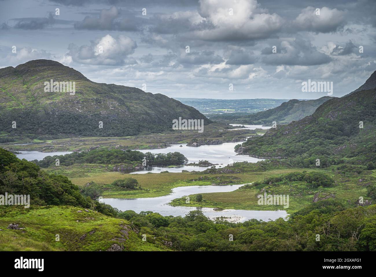 Irish iconico punto di vista, Ladies View, primo piano su laghi, verde valle e montagne, Killarney, Rink of Kerry, Irlanda Foto Stock