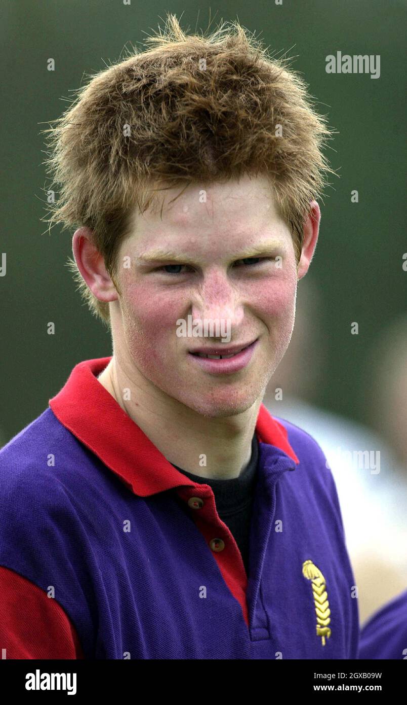 Foto di archivio del Principe Harry scattata in occasione di una partita di polo nel giugno 2003. Il principe dei 'playboy' ha fatto i titoli ancora una volta, dopo aver partecipato ad una festa di vestito con una svastica nazista sul suo braccio. Lo scandalo più recente segue una successione di incidenti che hanno visto il principe di 20 anni catturato fumare cannabis come adolescente al suo più recente lotteria nightclub con un fotografo paparazzi. Anwar Hussein/allactiondigital.com Foto Stock