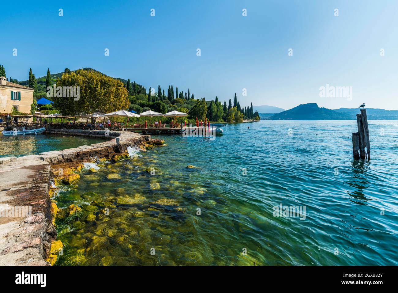 Punta San Vigilio, incanto sul Lago di Garda Foto Stock