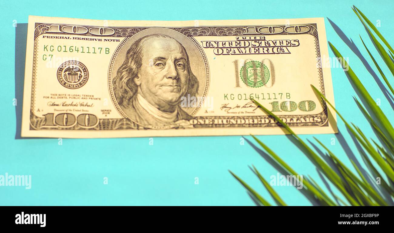 Bolletta del centinaio di dollari e erba verde in un angolo su un tavolo blu soleggiato. Foto Stock