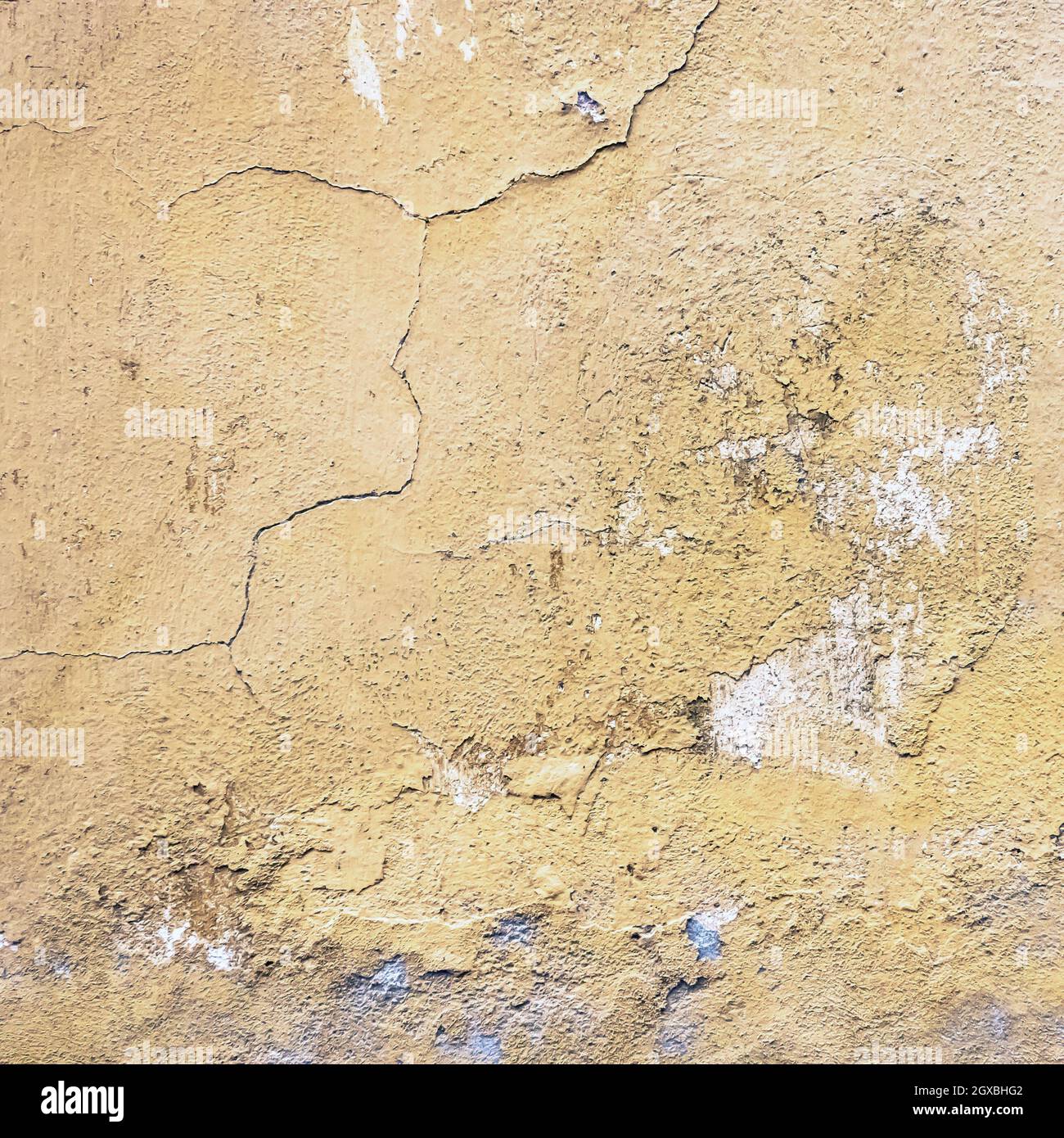 Muro vecchio sfondo testurizzato. Grunge parete in gesso con sfondo giallo graffiato. Vecchia parete con tessuto stucco color palude pelata. Navigazione astratta e ruvida Foto Stock
