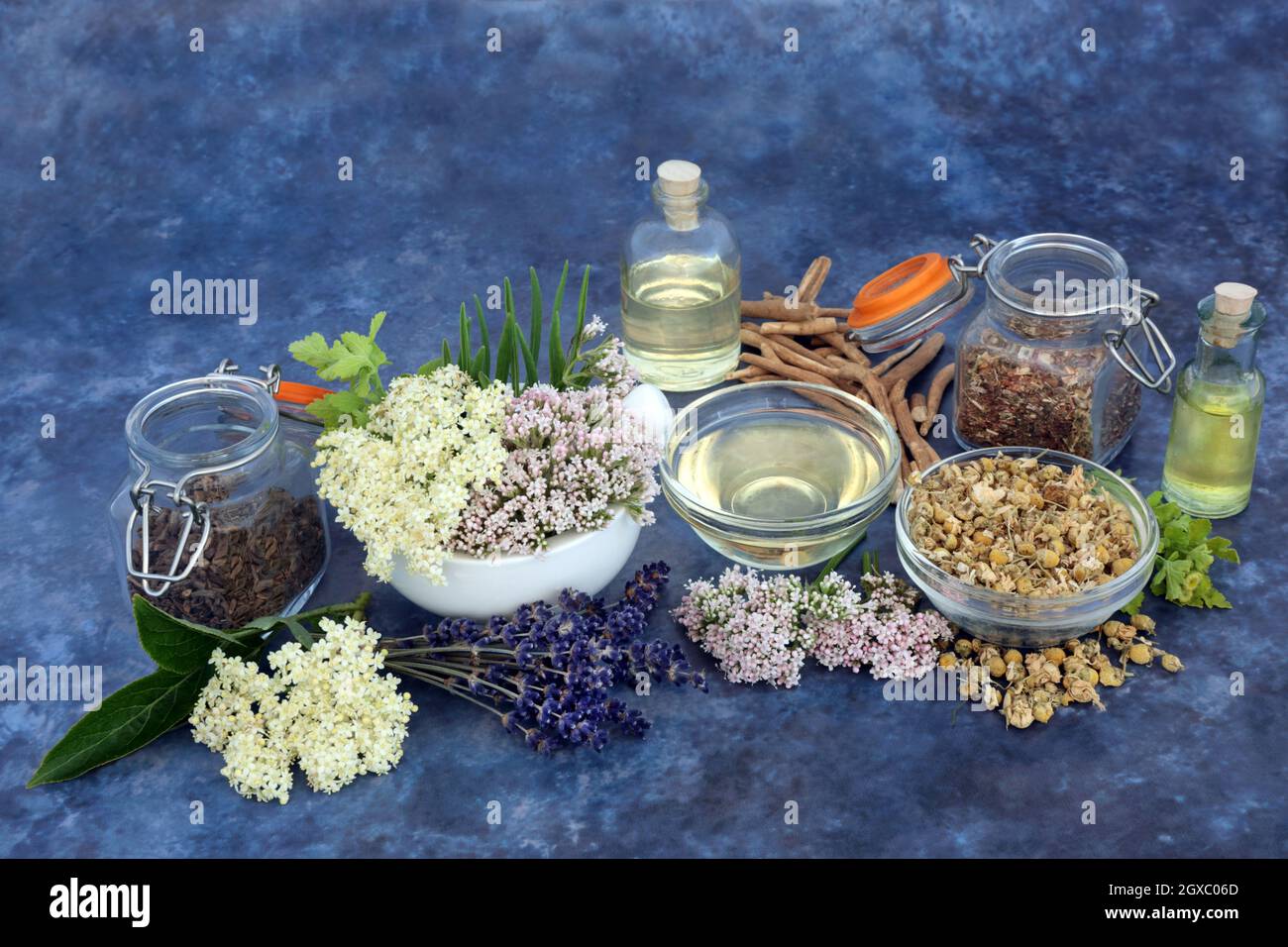 Erbe calmanti usate in naturale; medicina di erbe healing della pianta.  Usato come tranquillante per ansia, insonnia Foto stock - Alamy