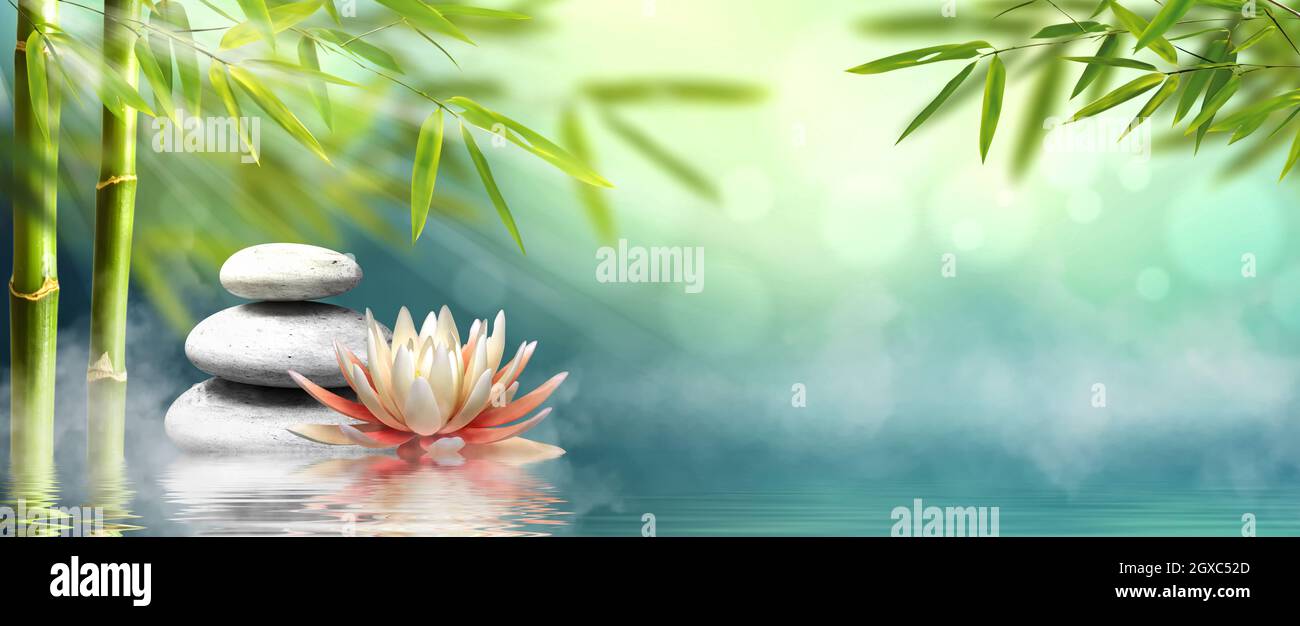 Spa - Alternativa naturale terapia di massaggio con pietre e ninfea in acqua Foto Stock