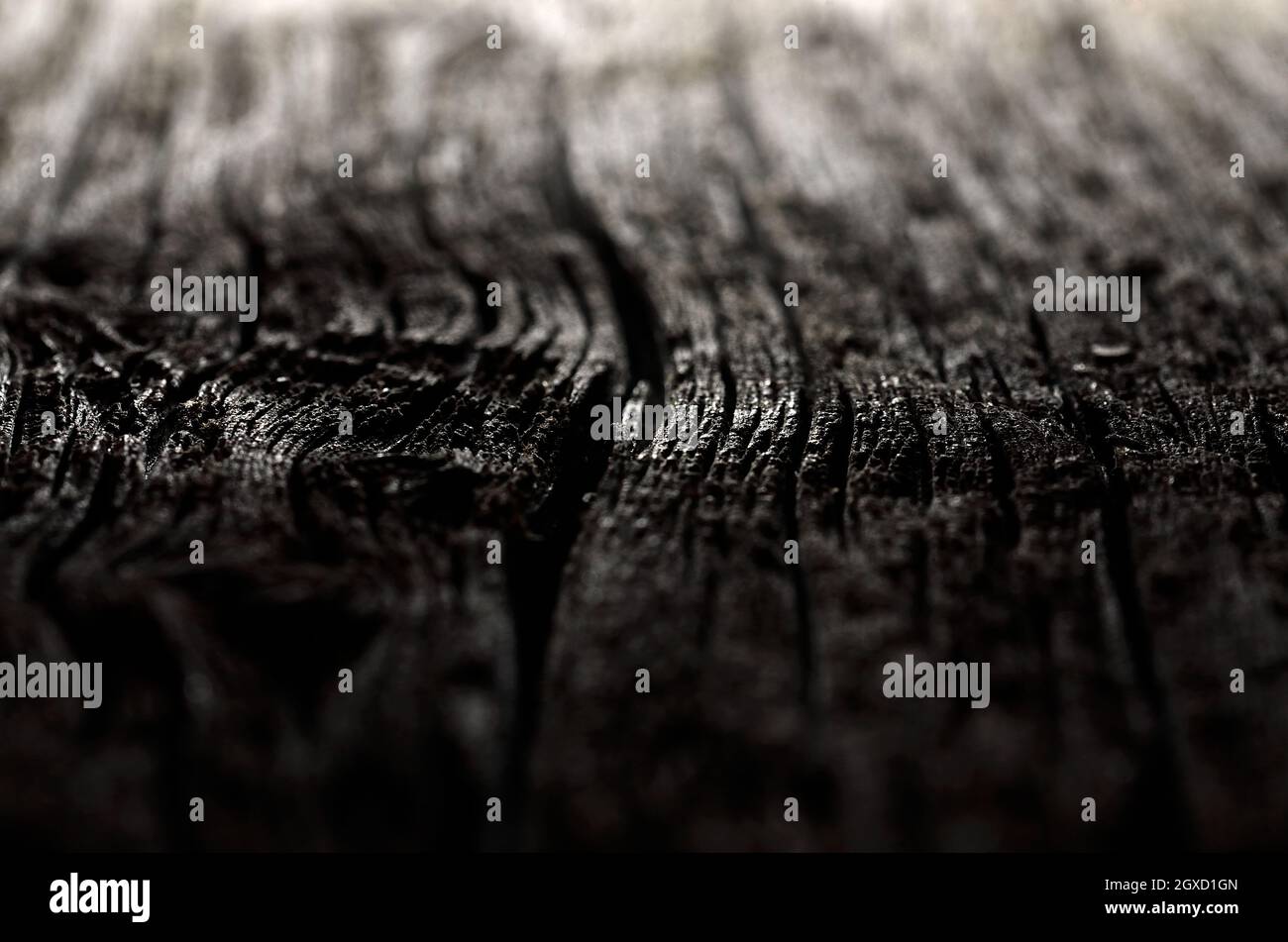 Primo piano di un asse di legno con una crepa e grana profonda con profondità di campo bassa Foto Stock