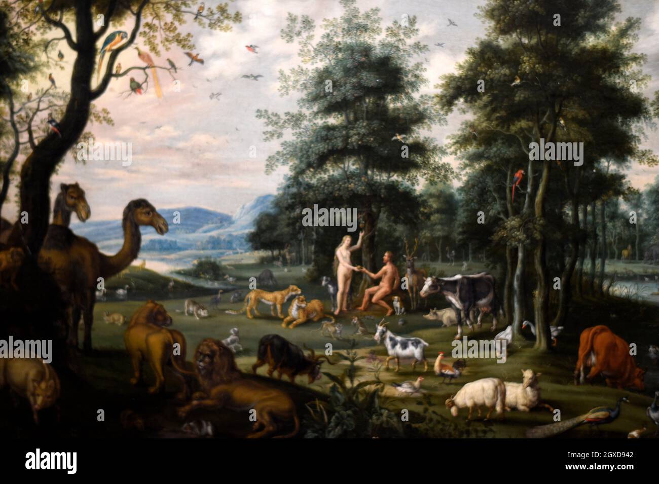 Quanti Figli Ebbero Adamo Ed Eva Creazione di adamo ed eva immagini e fotografie stock ad alta