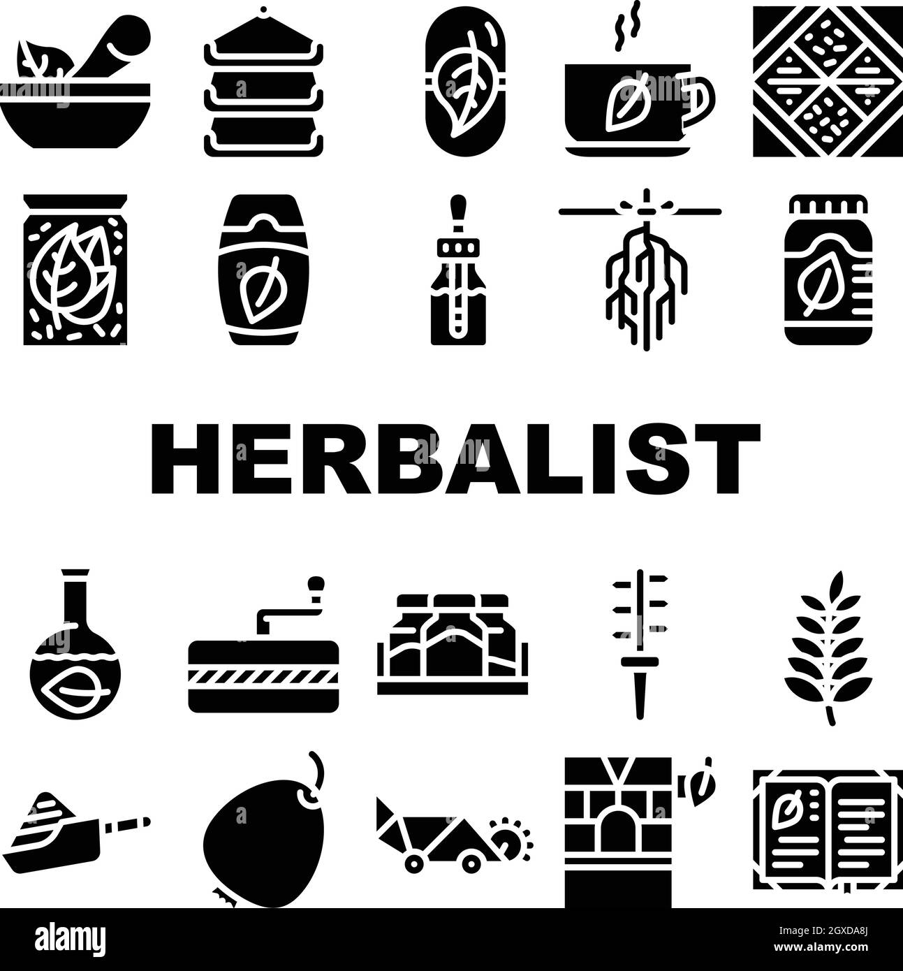 Icone della collezione medica erbalista Imposta illustrazioni vettoriali Illustrazione Vettoriale