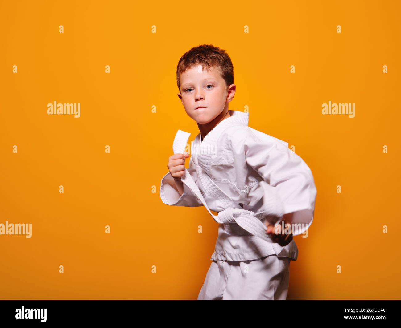 Ragazzo serio in kimono bianco schiacciando il nodo della cintura di karate  con le mani su sfondo arancione chiaro e guardando la fotocamera Foto stock  - Alamy