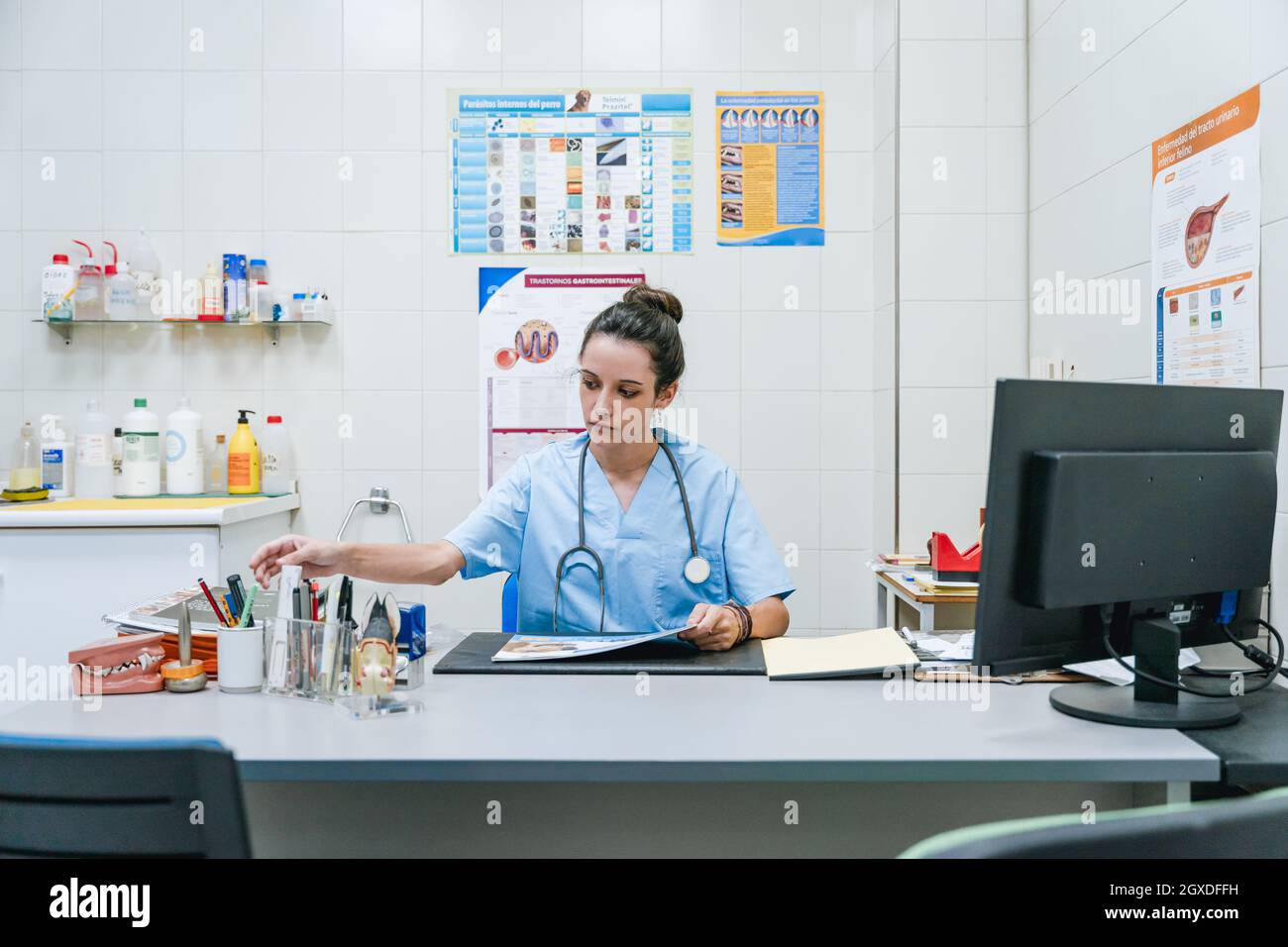 Giovane e attento veterinario femminile in uniforme con stetoscopio prendere cancelleria mentre si guarda via alla scrivania con il computer in ospedale Foto Stock