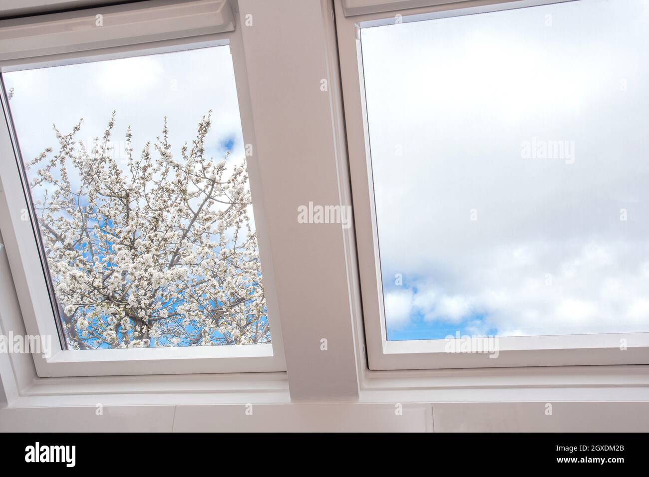 Un moderno lucernario aperto, finestra mansarda contro il cielo blu con un bell'albero con fiori bianchi, nuovo design moderno casa, dettagli architettonici primo piano Foto Stock