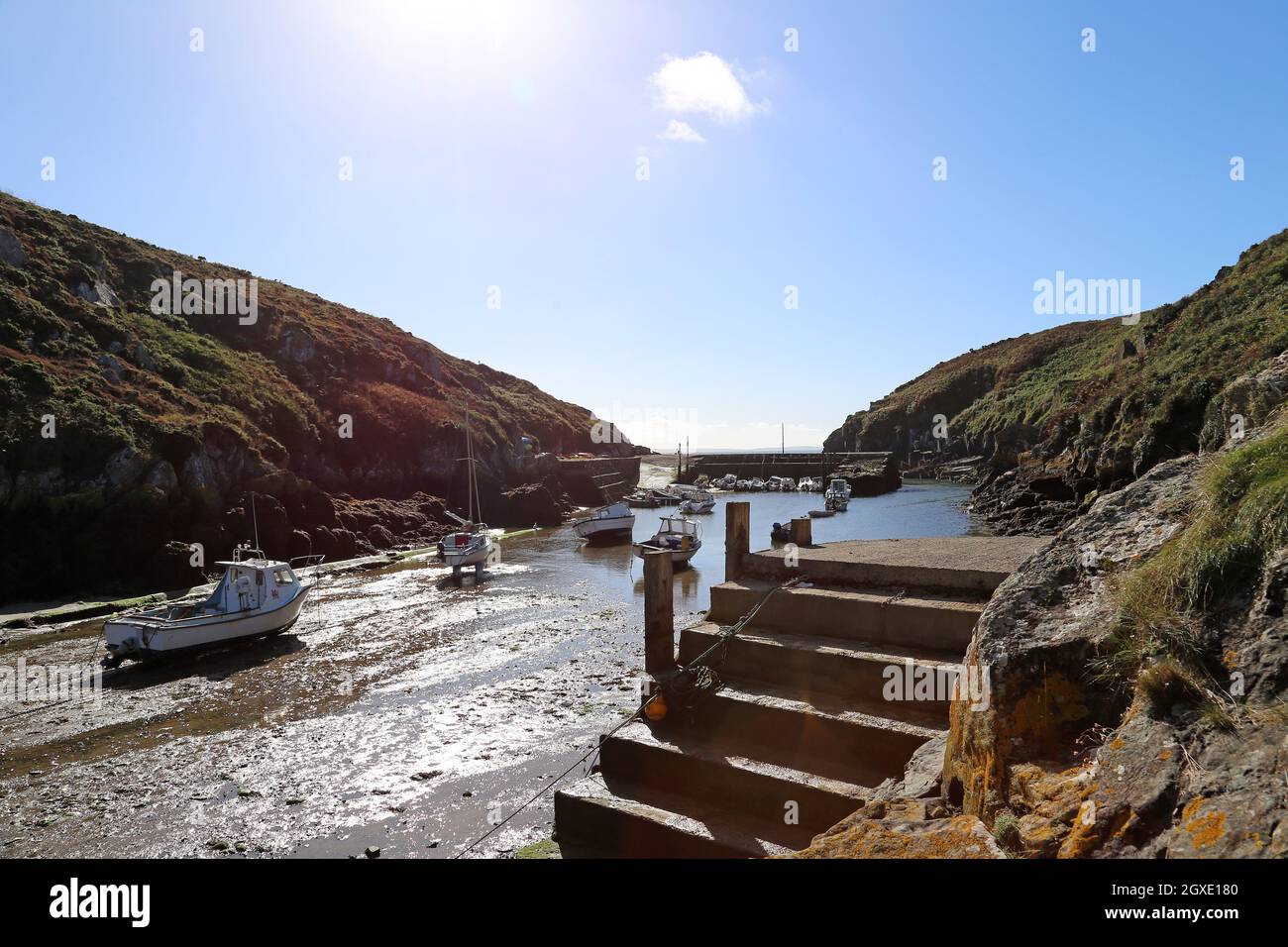 Porth Clais (o Porthclais), St Davids, Pembrokeshire, Galles, Regno Unito, Regno Unito, Europa Foto Stock