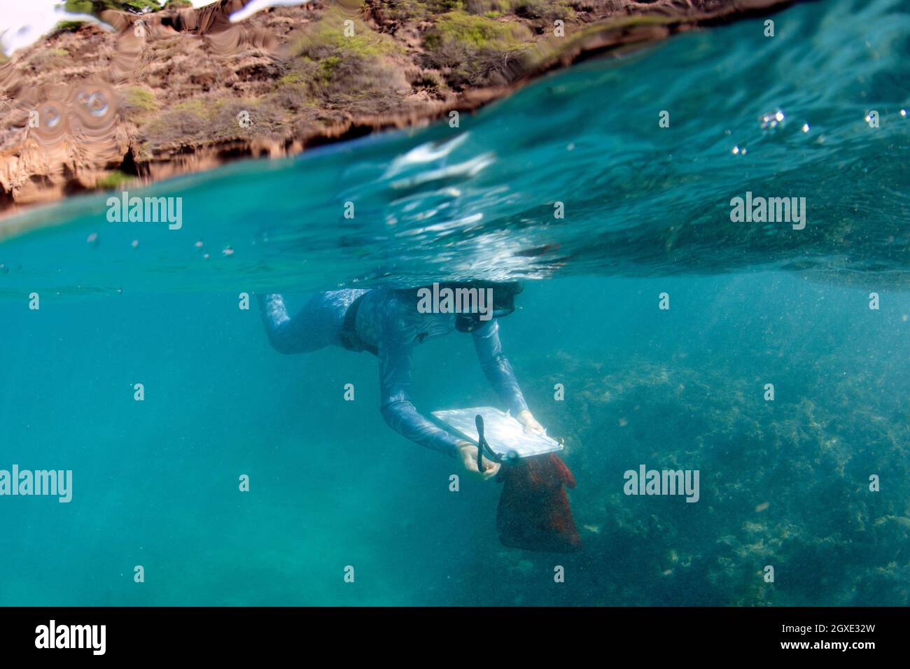 Il ricercatore prende appunti su una barriera corallina a Hanauma Bay, Oahu, Hawaii, USA Foto Stock