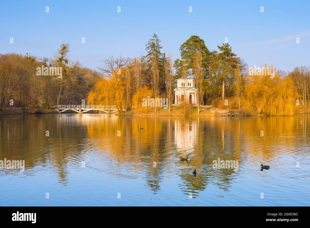 Anatre in un lago del Parco Nazionale di Sophia in primavera al tramonto. Famosa destinazione turistica. Uman, Ucraina Foto Stock