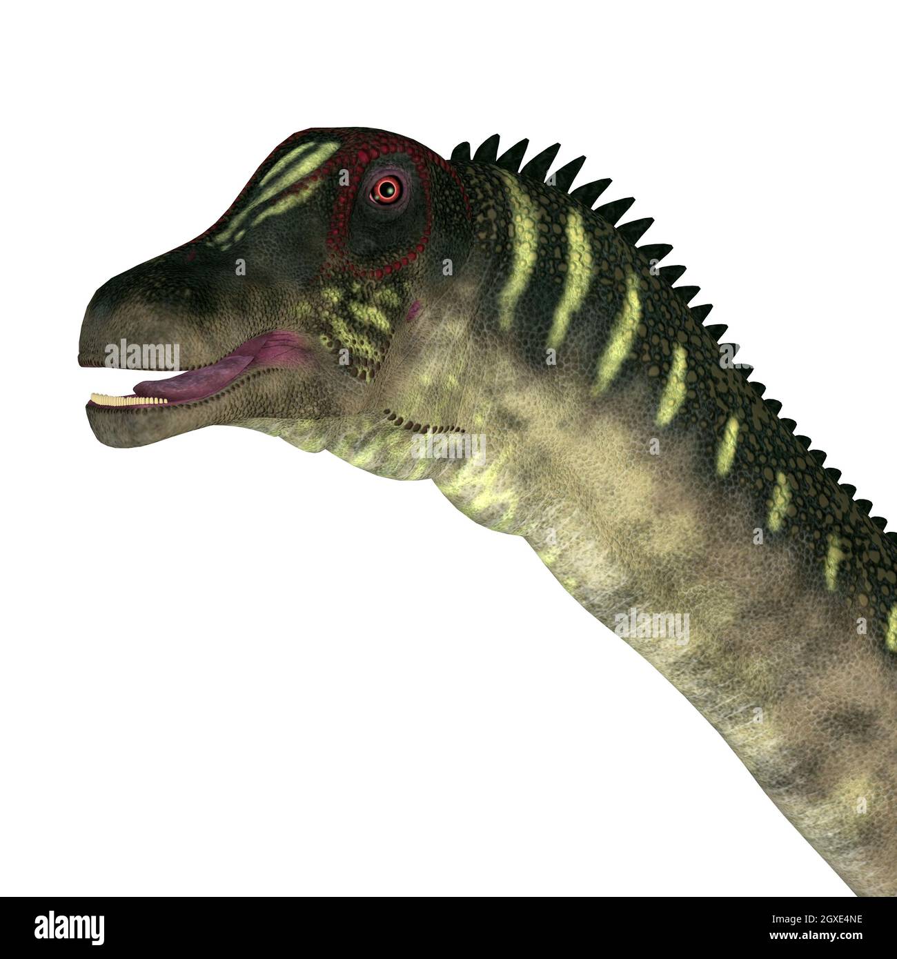 Il Titanosaur erbivoro sauropod dinosauro Antartosauro vissuto in Sud America durante il periodo Cretaceo. Foto Stock