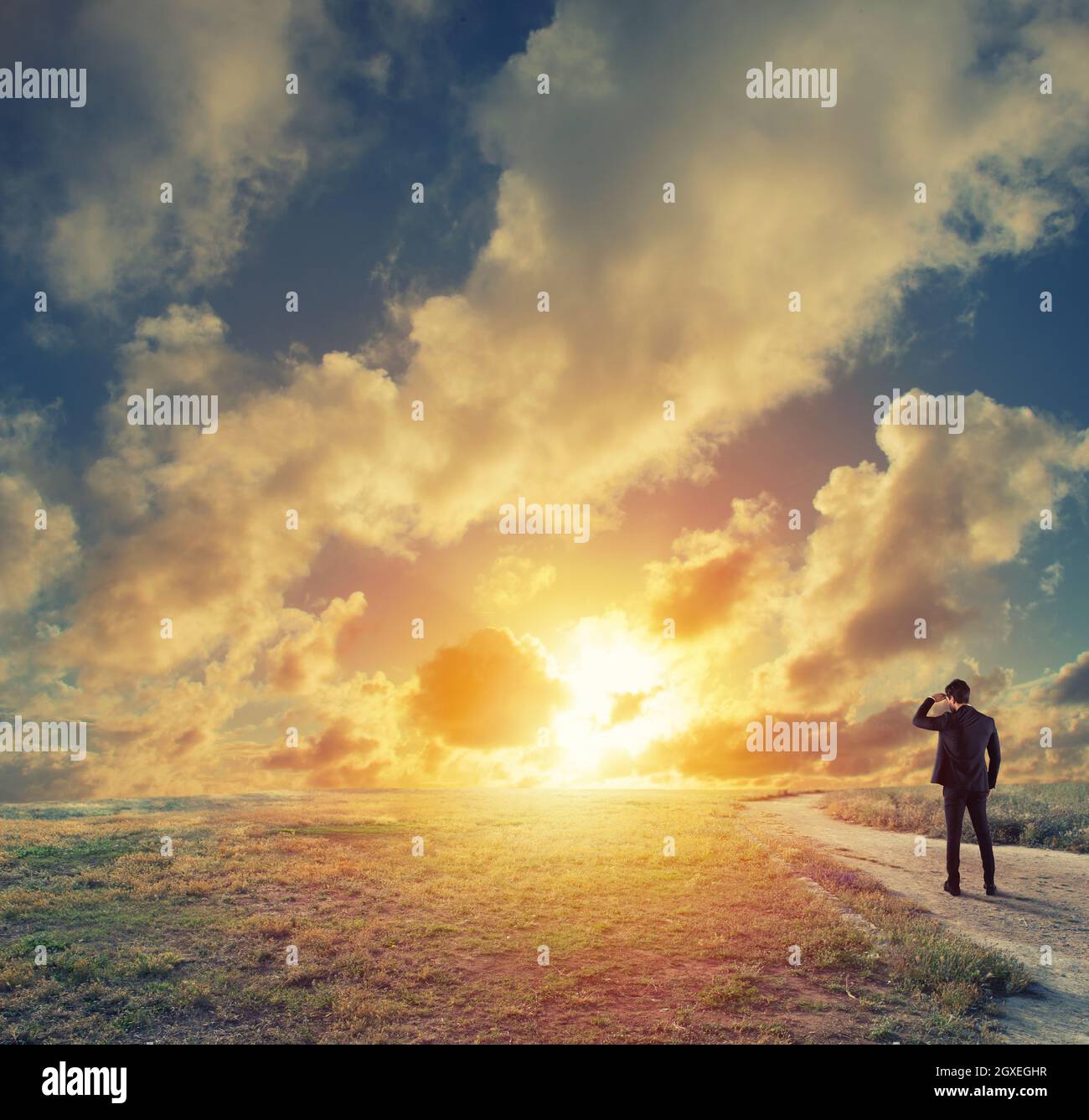 Imprenditore in un campo appare lontana per nuovo business durante il sunrise Foto Stock
