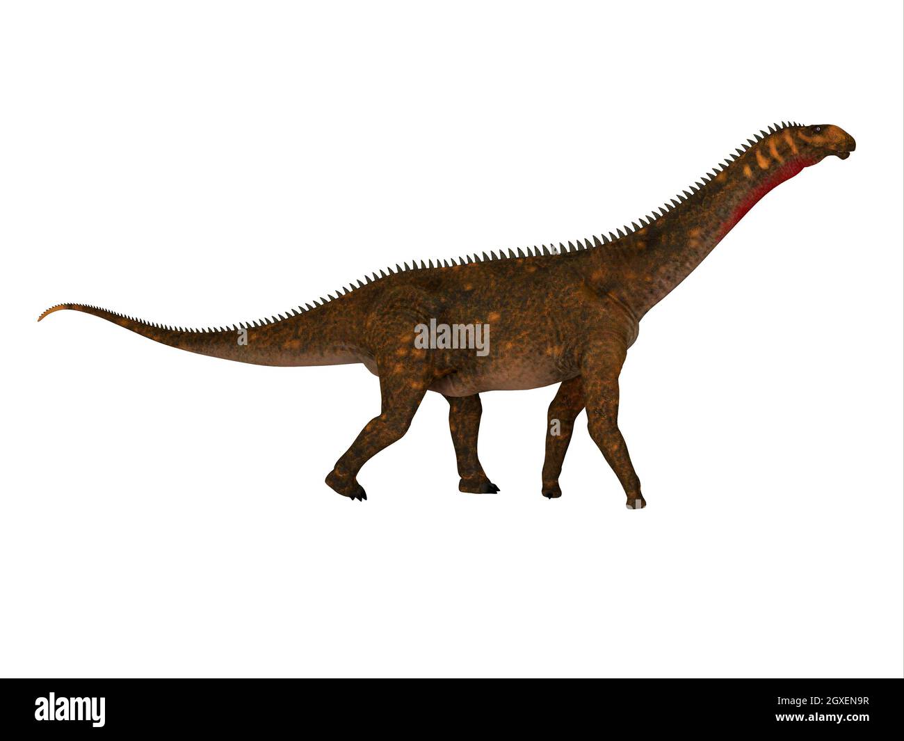 Mierasaurus era un erbivoro sauropod dinosaur che vivevano in Utah, Stati Uniti d'America durante il Cretacico. Foto Stock