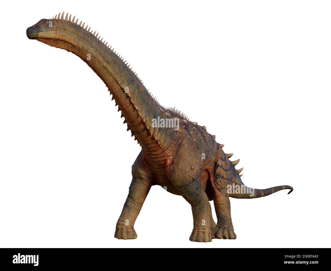 Alamosaurus era un sauropodi erbivori di Titanosaur che visse in Nord America durante il periodo Cretaceo. Foto Stock