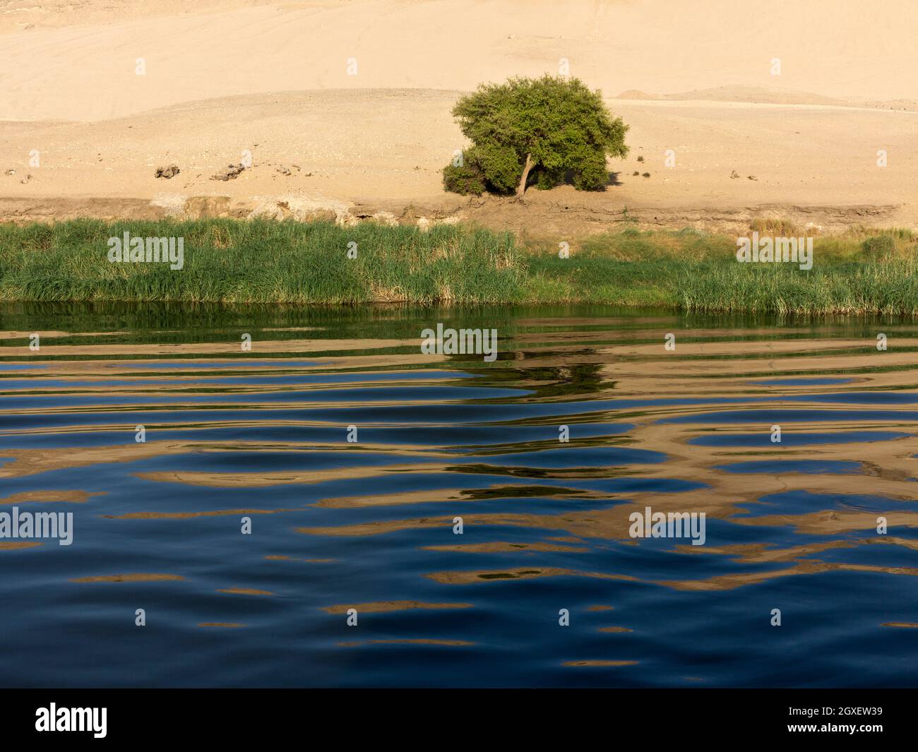 Delicatamente increspando l'acqua con un albero e fertile riva del fiume e la riva di sabbia sullo sfondo riflesso sulla superficie Foto Stock