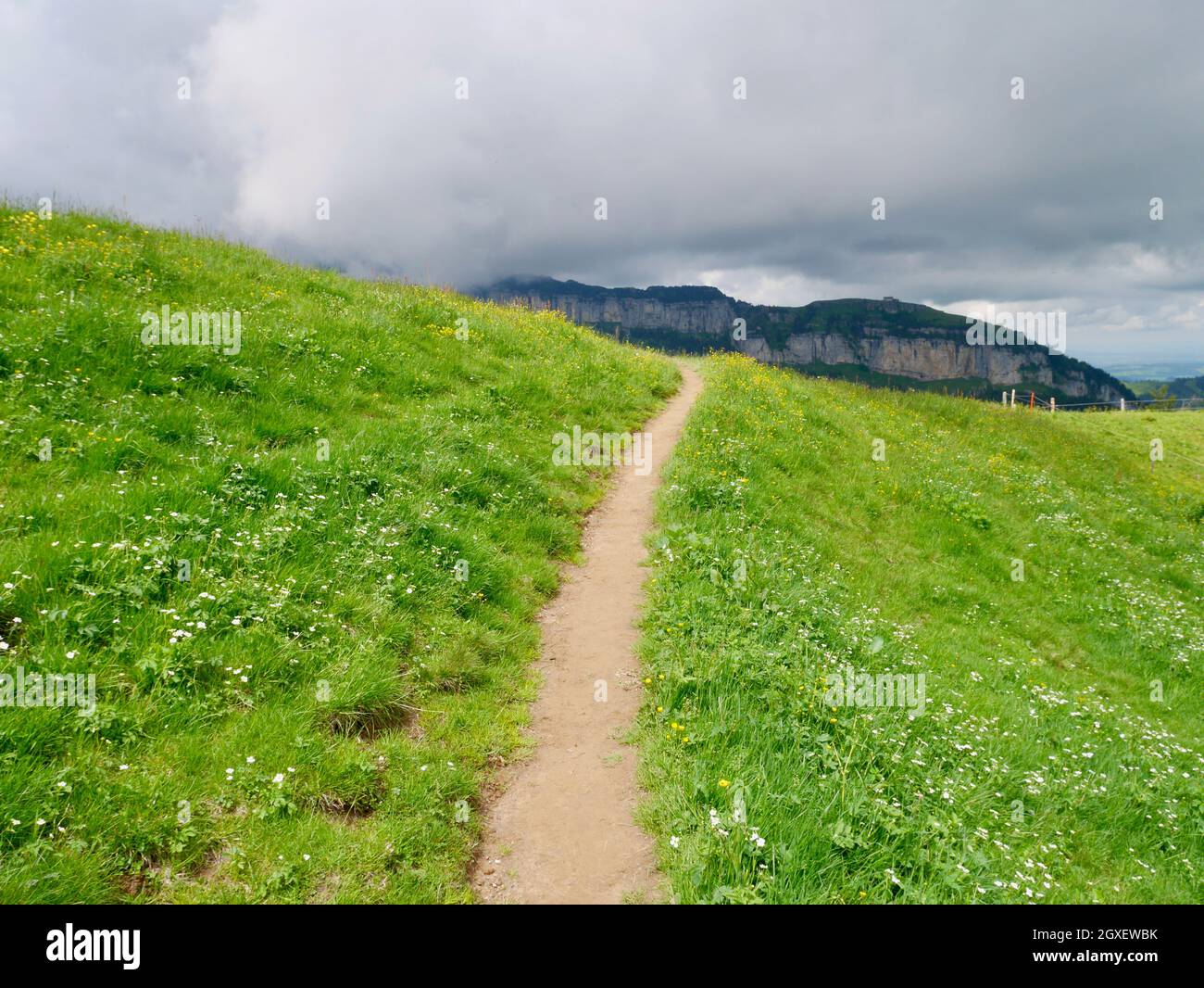Sentiero escursionistico che conduce attraverso un rigoglioso prato verde ad Alpstein, in Svizzera. Foto Stock