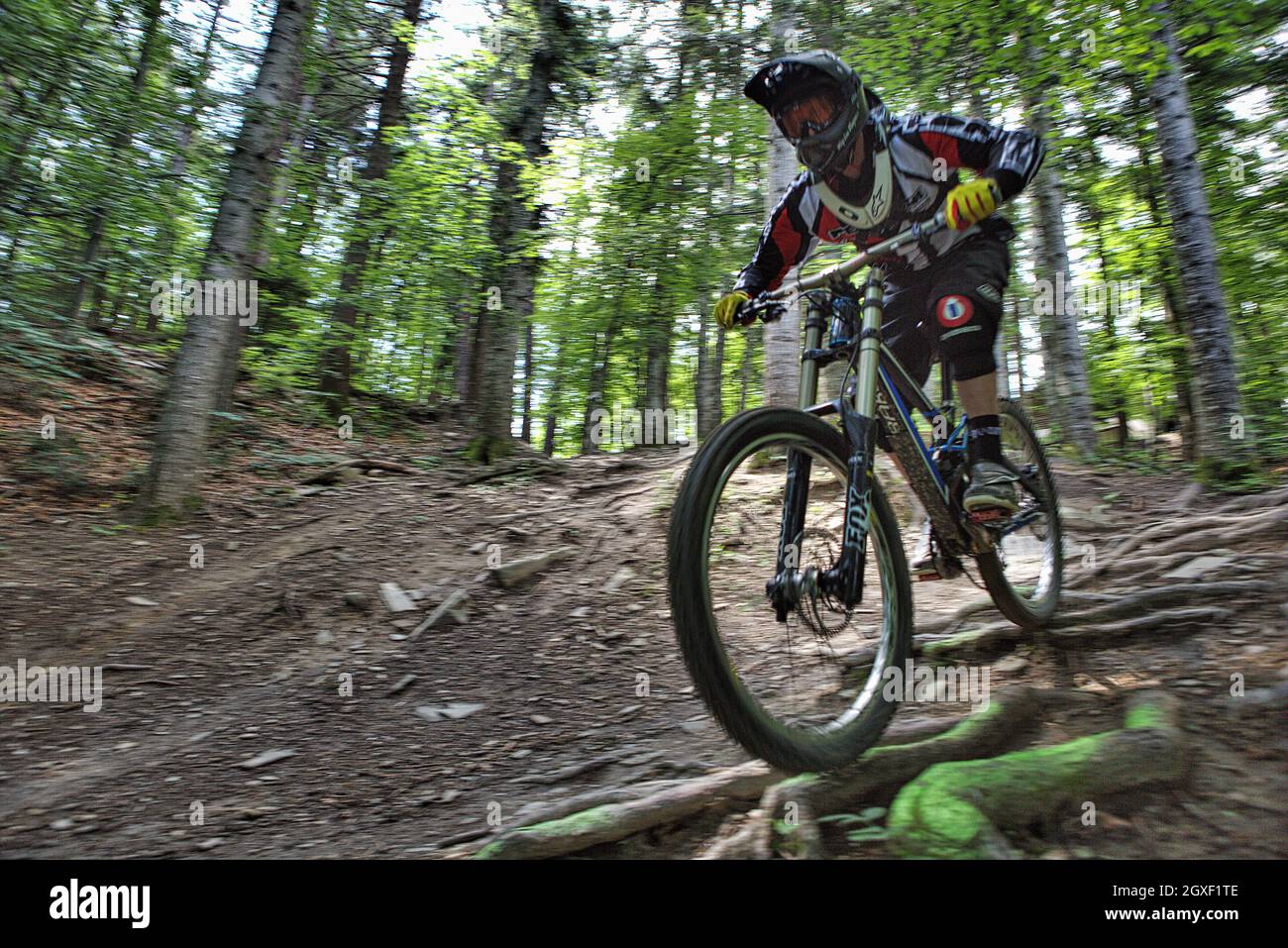 Discesa, sport, bicicletta, montagna Foto stock - Alamy
