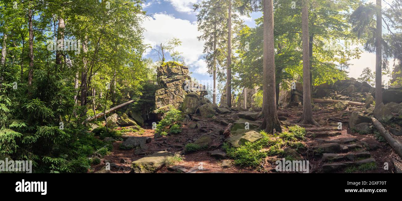 Rock nella foresta - monumento naturale Nine Rocks, Zdarske Vrchy in Vysocina, Repubblica Ceca Foto Stock