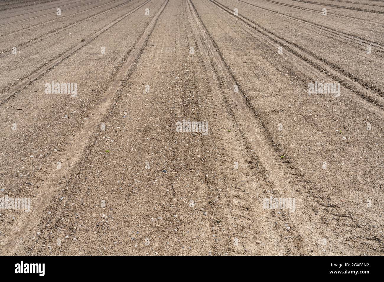 vista del terreno di un campo arato e pressato, pronto per la semina in primavera Foto Stock