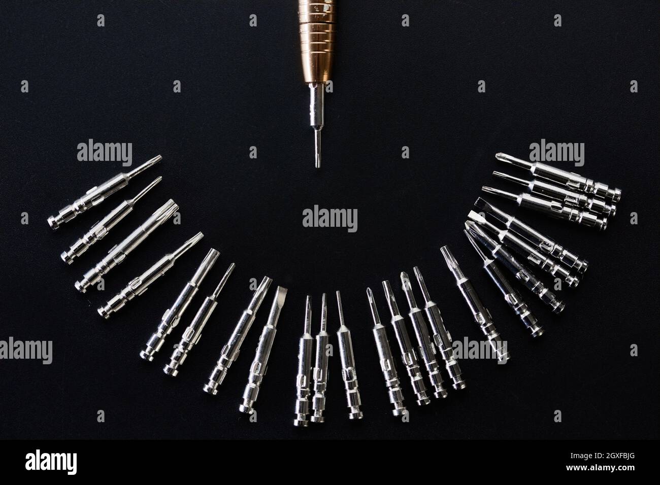 Cacciavite e set di punte sostituibili, primo piano, sfondo grigio, nessuno. Strumento professionale, attrezzatura da lavoro, utensili di avvitamento Foto Stock