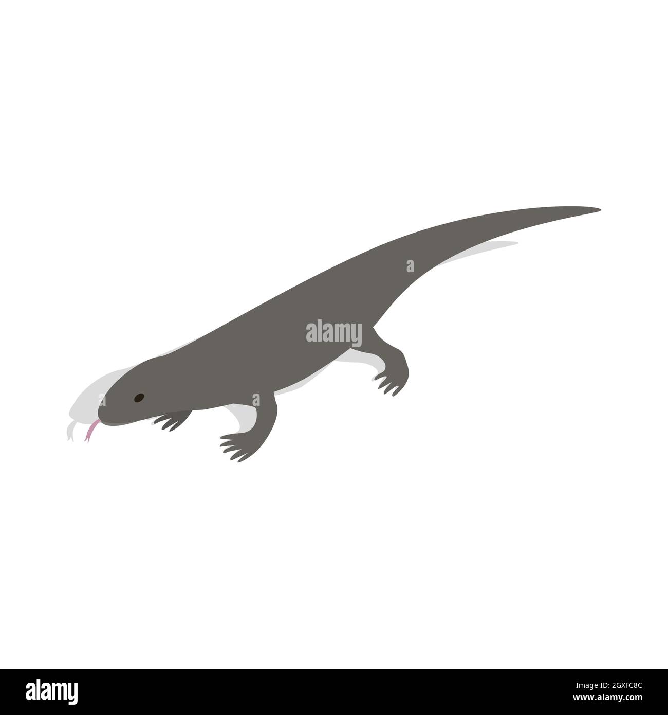 Icona Lizard in stile 3D isometrico su sfondo bianco Foto Stock
