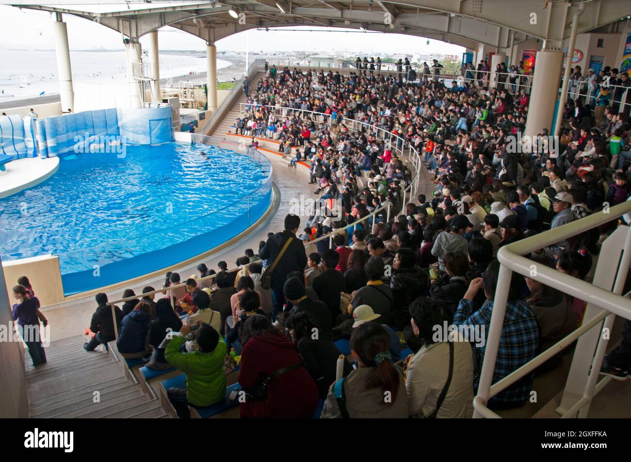 Il pubblico attende uno spettacolo all'Enoshima Aquarium, Enoshima, Giappone Foto Stock