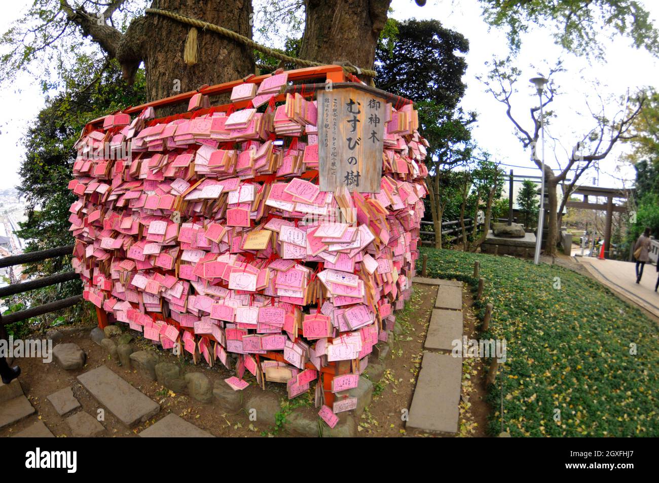Placche di legno con preghiere e desideri nel Santuario di Enoshima, Enoshima, Giappone Foto Stock