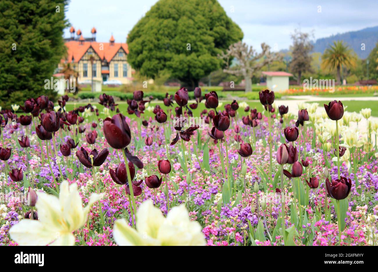 Giardino governativo a Rotorua, Nuova Zelanda. 17 Ott 2011 Foto Stock